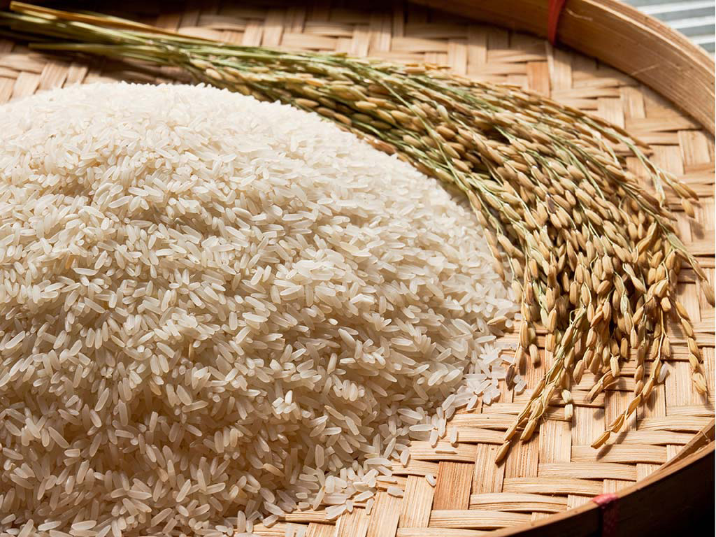 rice2 - راه های تشخیص برنج کهنه از تازه